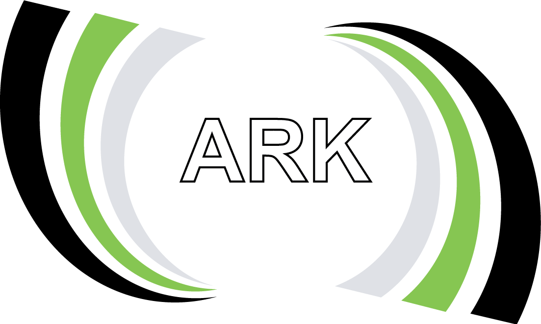 ARK INTERNATIONAL GB LTD