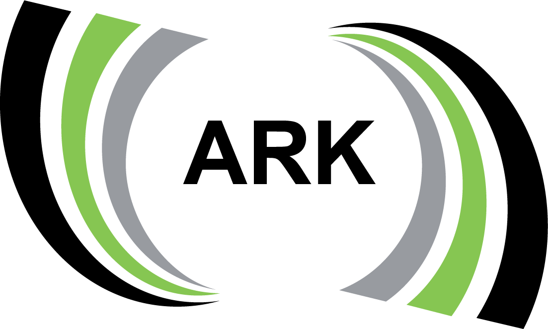 ARK INTERNATIONAL GB LTD